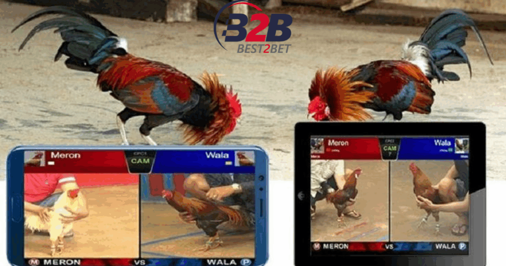 đá gà trực tiếp