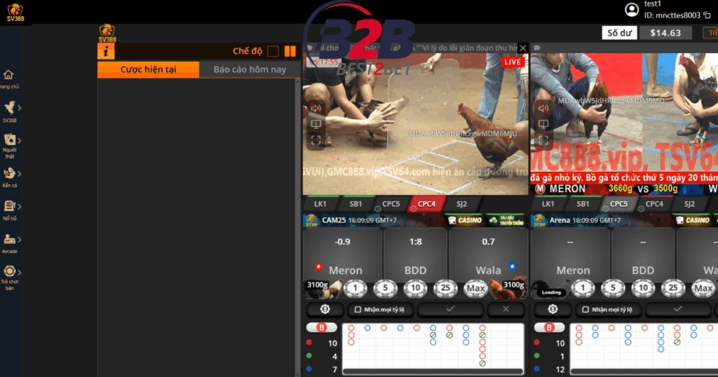 đá gà trực tiếp