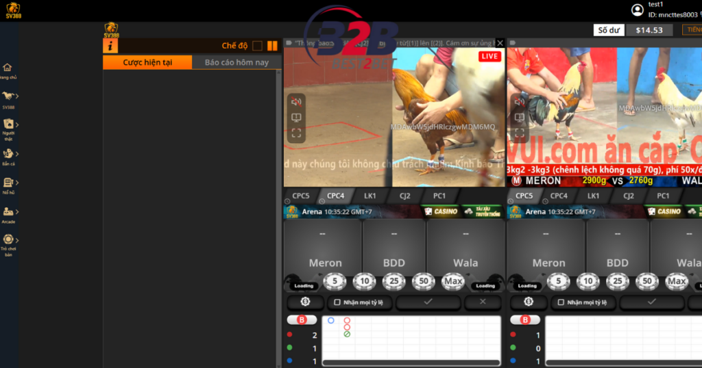 đá gà trực tiếp